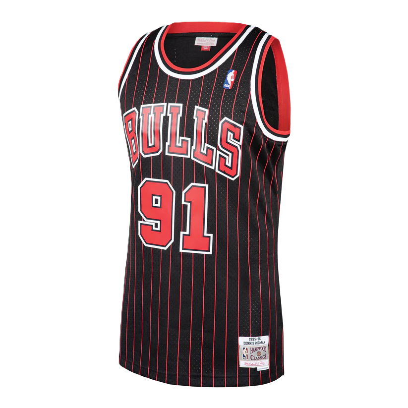 Chicago Bulls Dennis Rodman #91 1995-96 Jersey