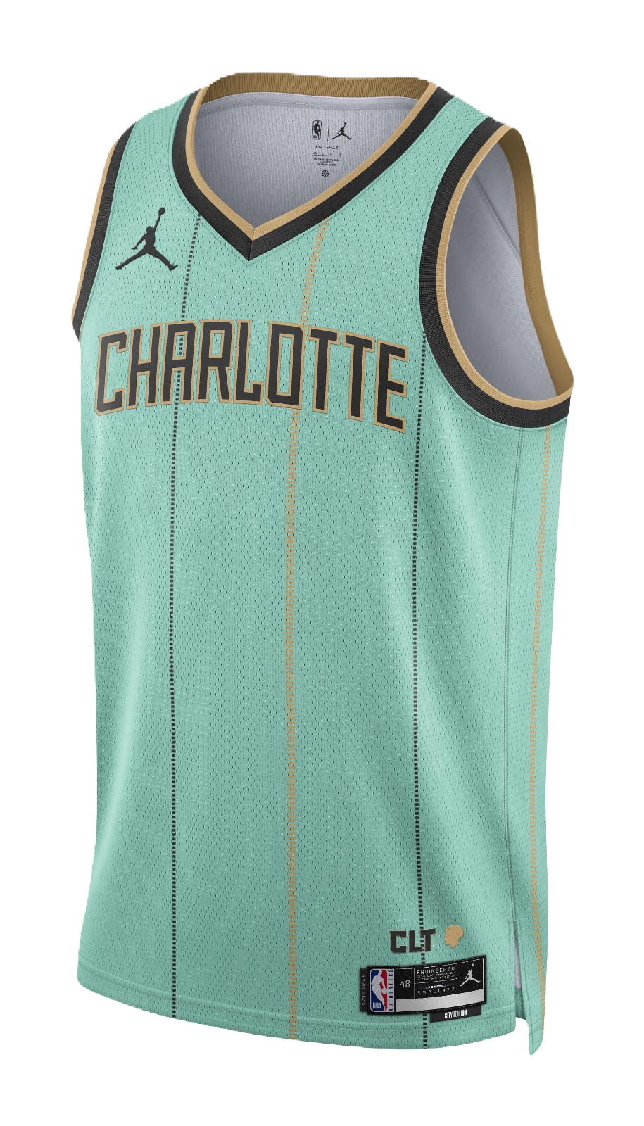 Charlotte Hornets 2024-25 Jersey - City Edition